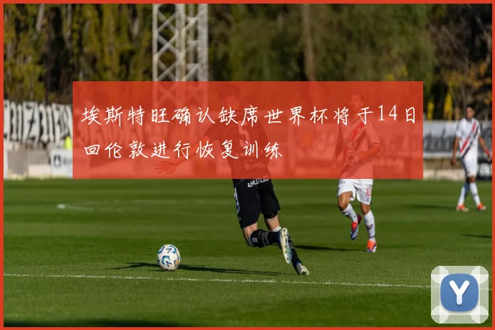 埃斯特旺确认缺席世界杯将于14日回伦敦进行恢复训练