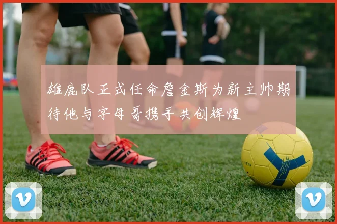 雄鹿队正式任命詹金斯为新主帅期待他与字母哥携手共创辉煌